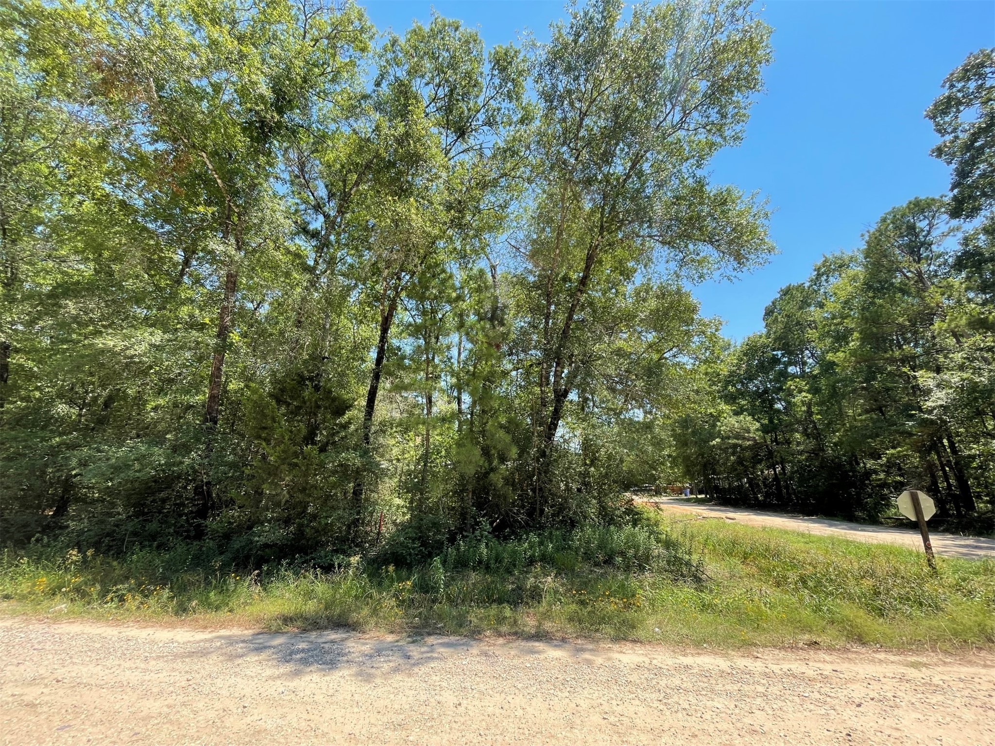 Lot 101 Ithica Livingston TX 77351