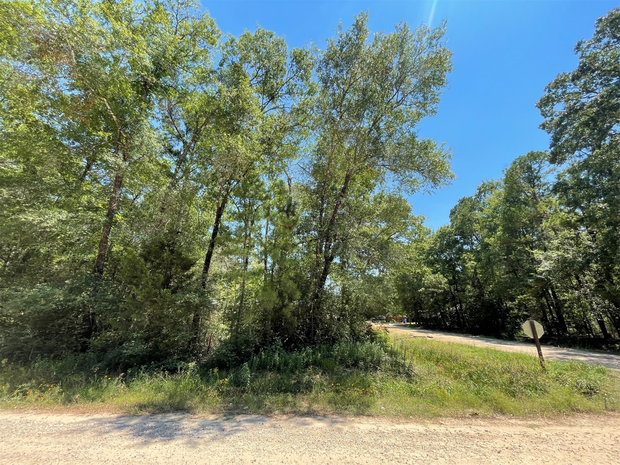 Lot 101 Ithica Livingston TX 77351