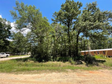 Lot 101 Ithica Livingston TX 77351