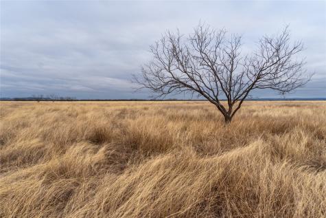 T5 County Road 204 Bradshaw TX 79567
