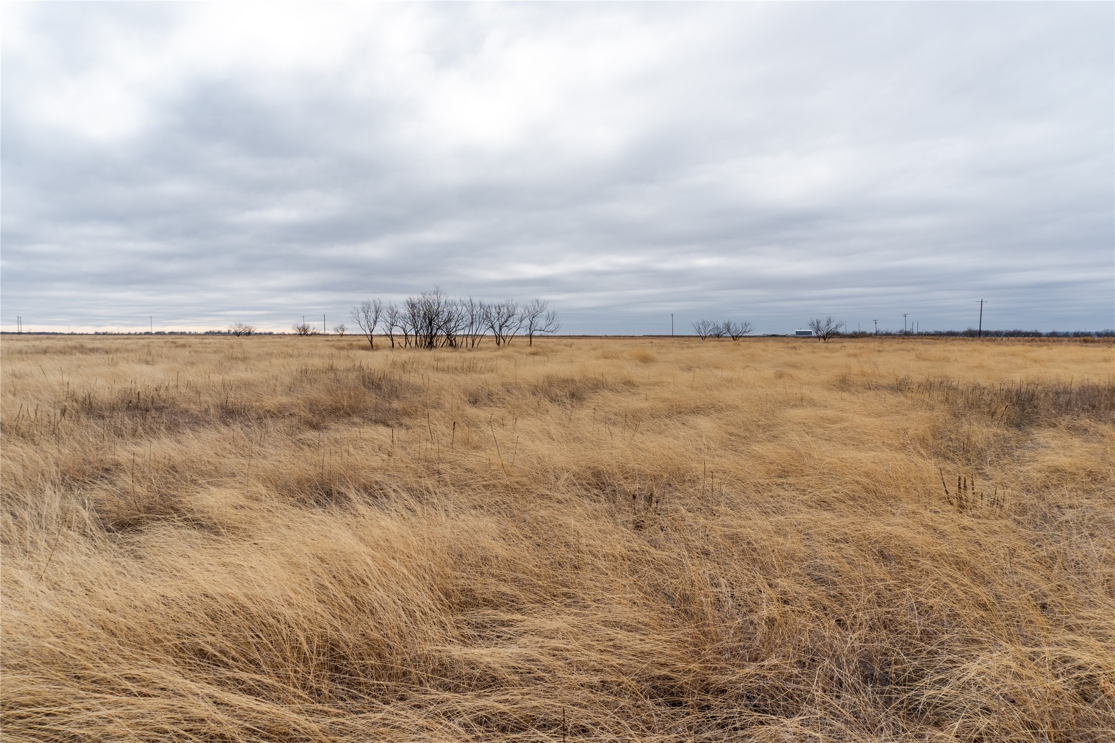 T5 County Road 204 Bradshaw TX 79567