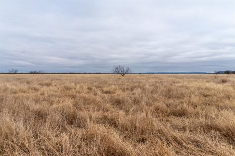 T5 County Road 204 Bradshaw TX 79567