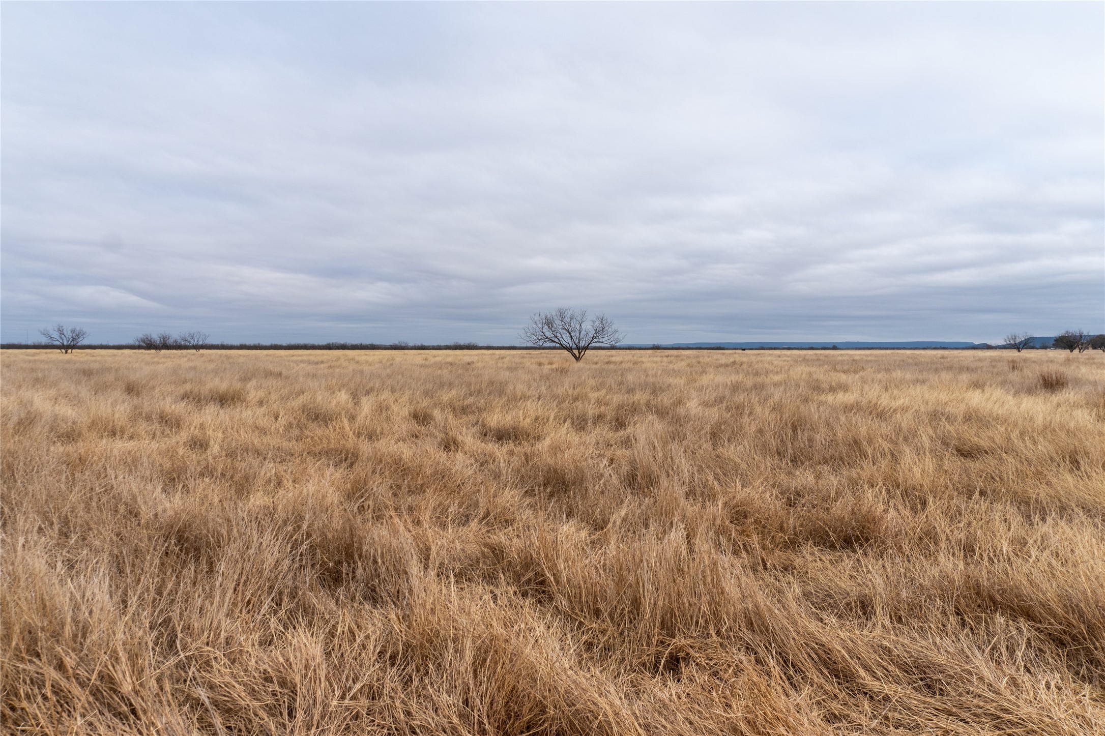 T5 County Road 204 Bradshaw TX 79567