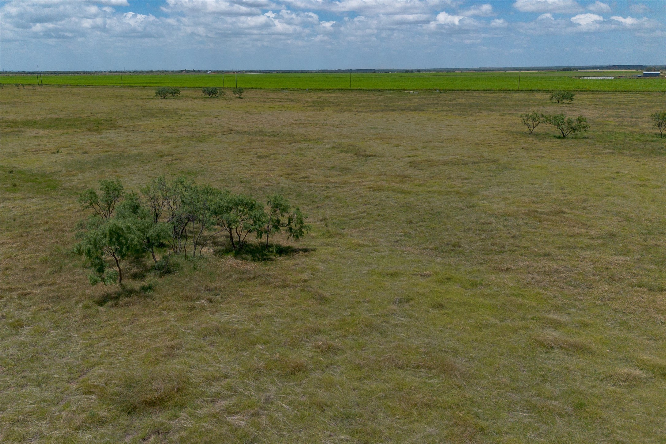 T5 County Road 204 Bradshaw TX 79567