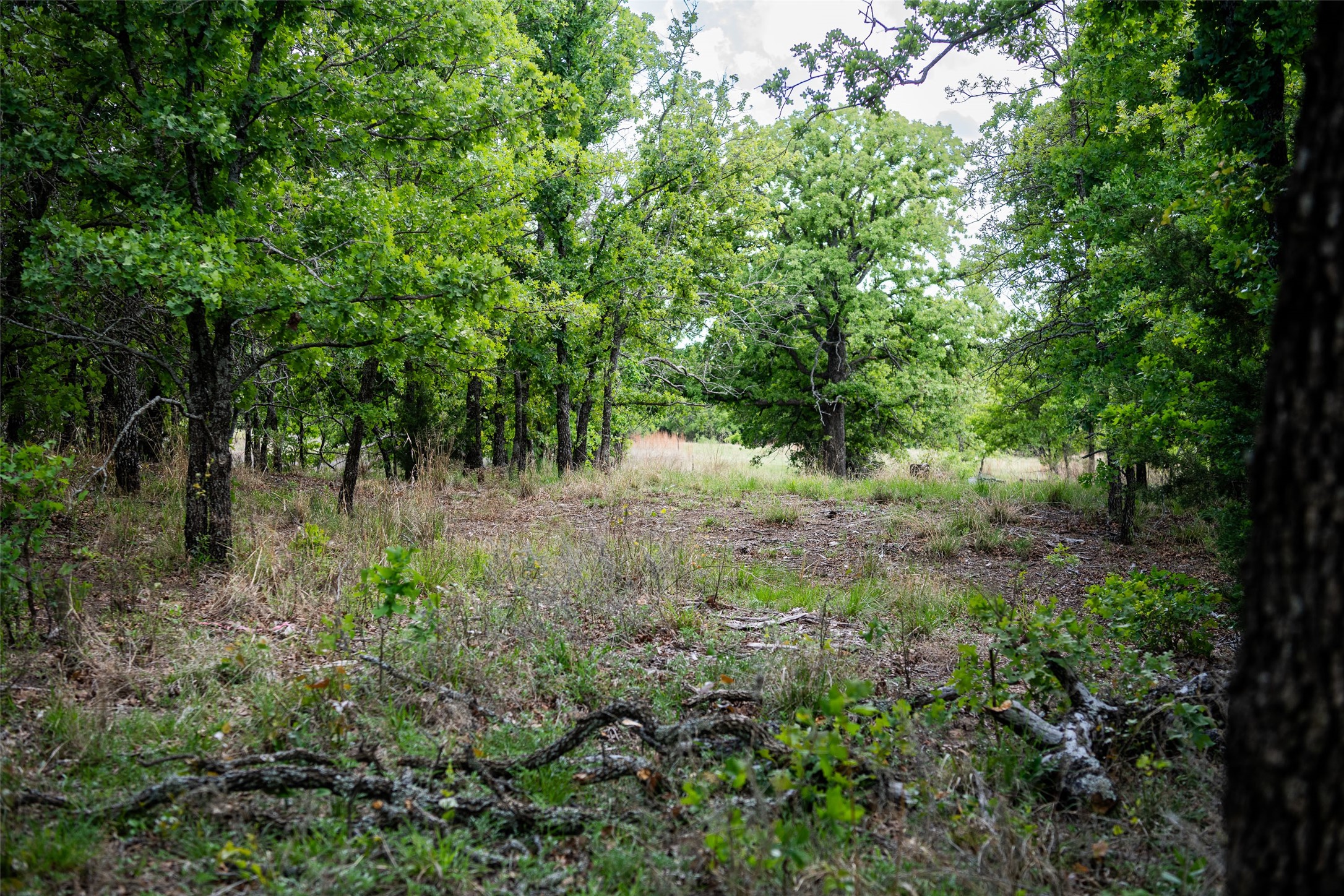 Lot 8 Red Oak Hills Road Nocona TX 76255