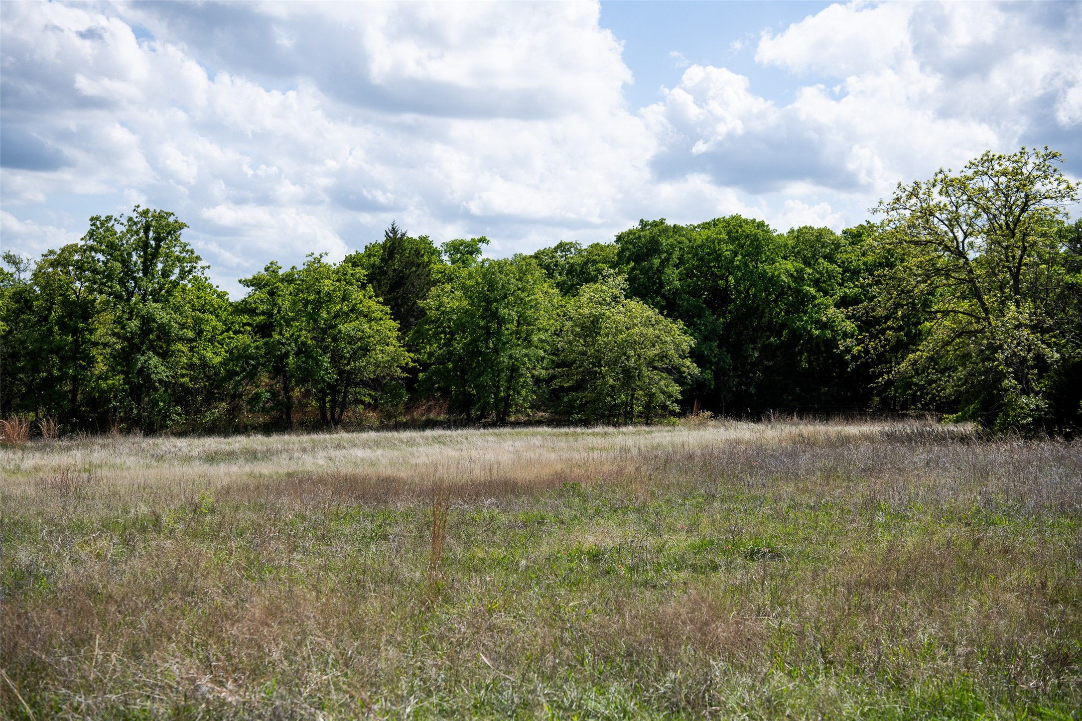 Lot 8 Red Oak Hills Road Nocona TX 76255