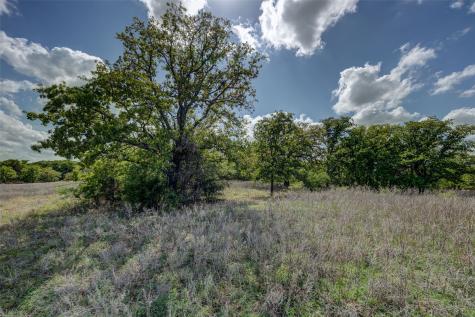 Lot 8 Red Oak Hills Road Nocona TX 76255