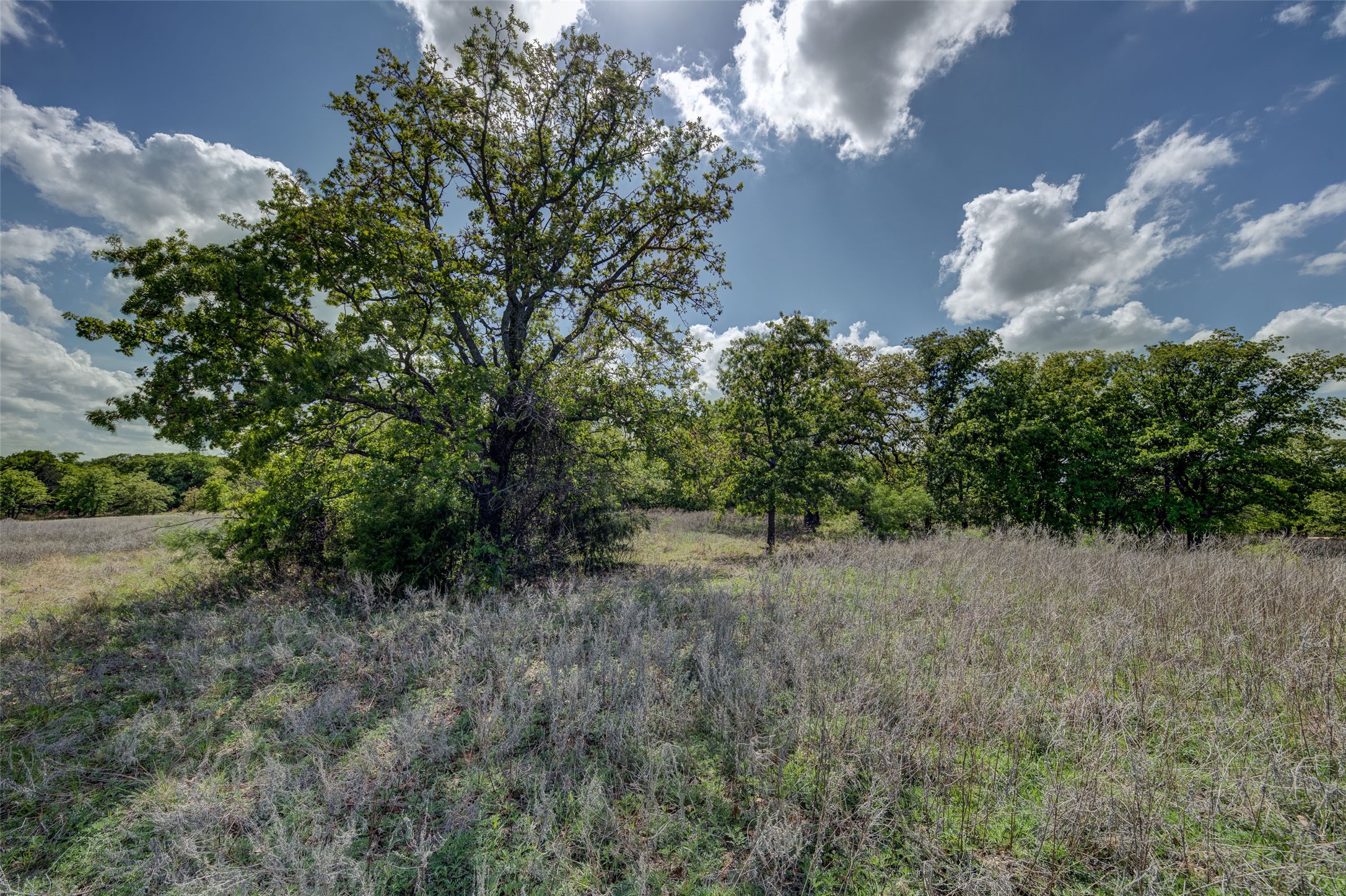Lot 8 Red Oak Hills Road Nocona TX 76255