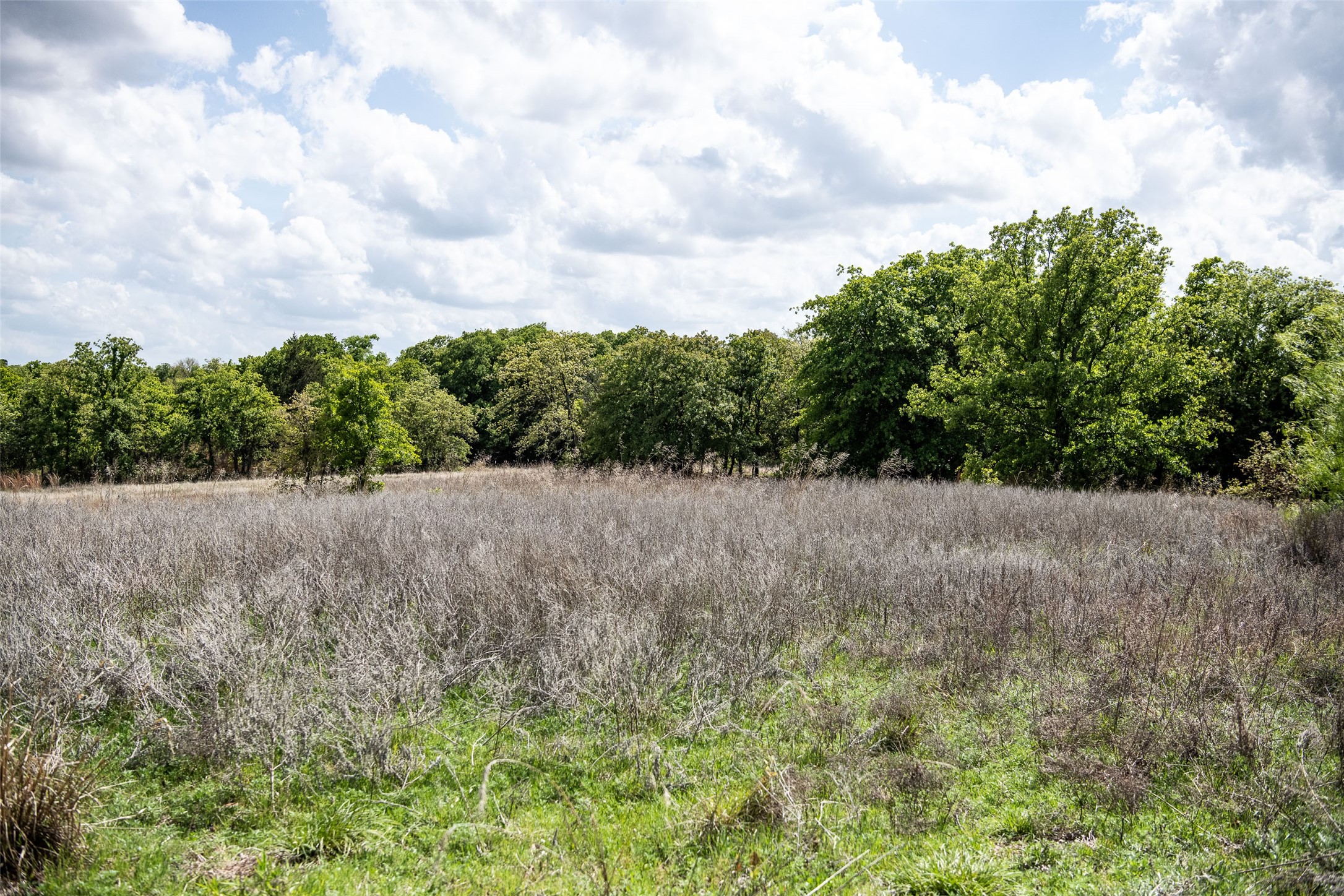 Lot 8 Red Oak Hills Road Nocona TX 76255