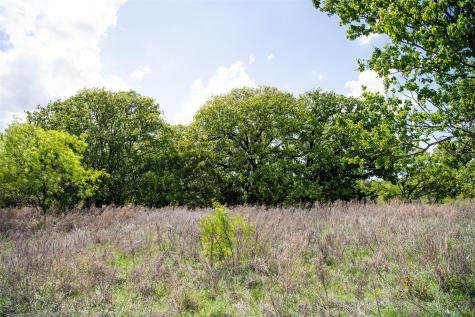 Lot 8 Red Oak Hills Road Nocona TX 76255