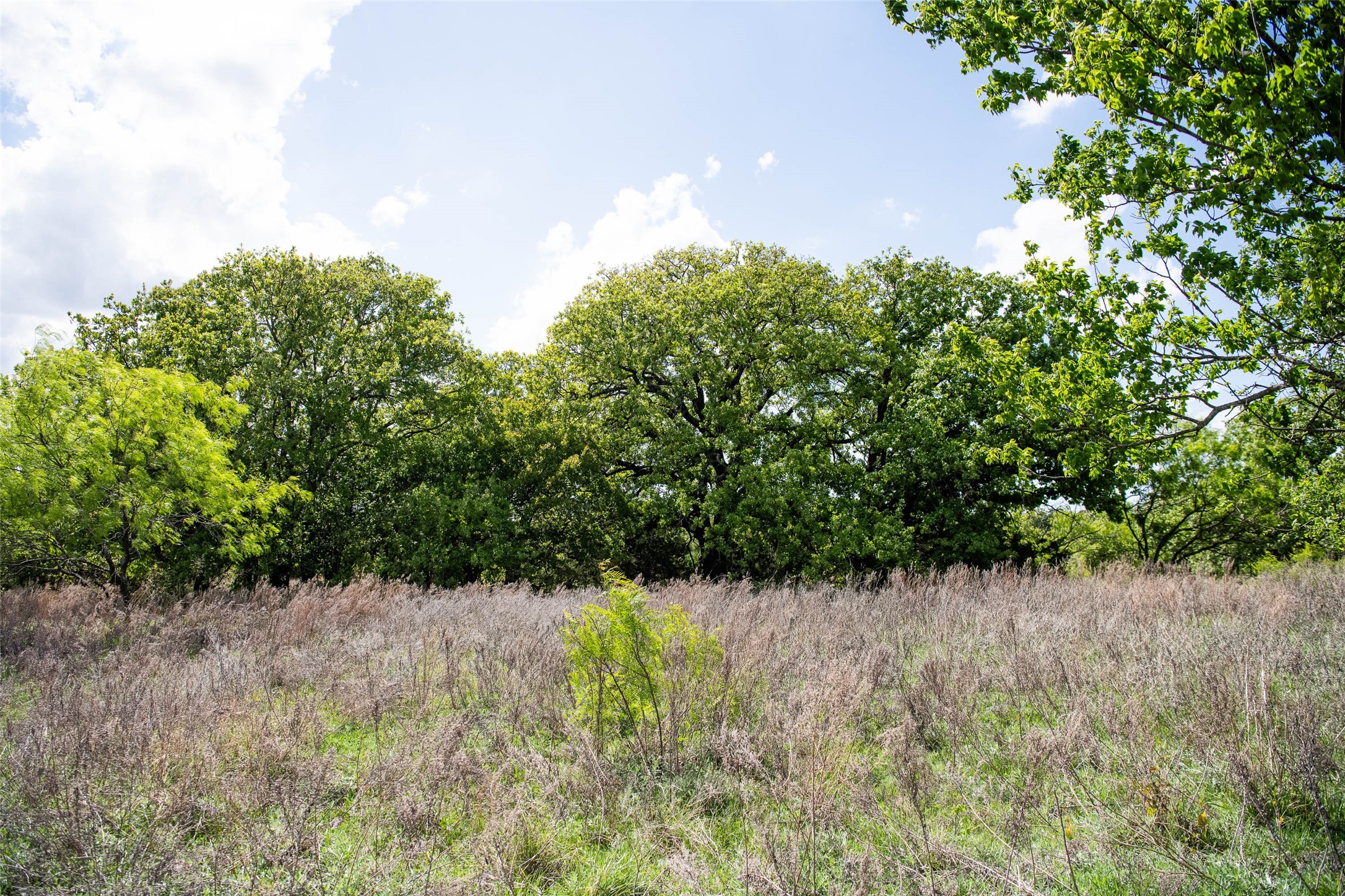 Lot 8 Red Oak Hills Road Nocona TX 76255