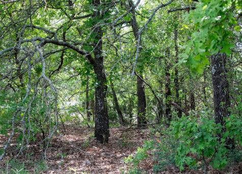 Lot 8 Red Oak Hills Road Nocona TX 76255
