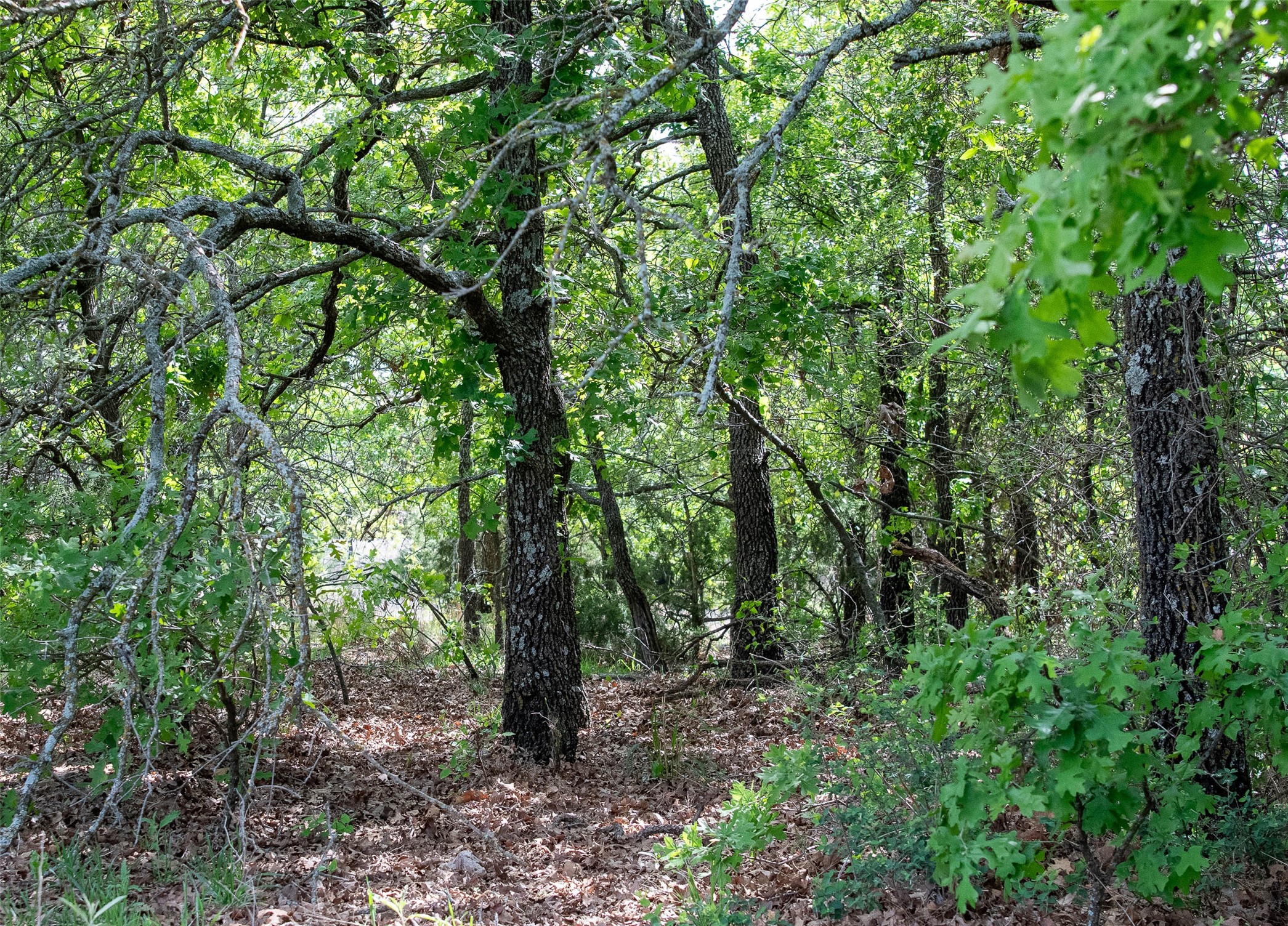 Lot 8 Red Oak Hills Road Nocona TX 76255