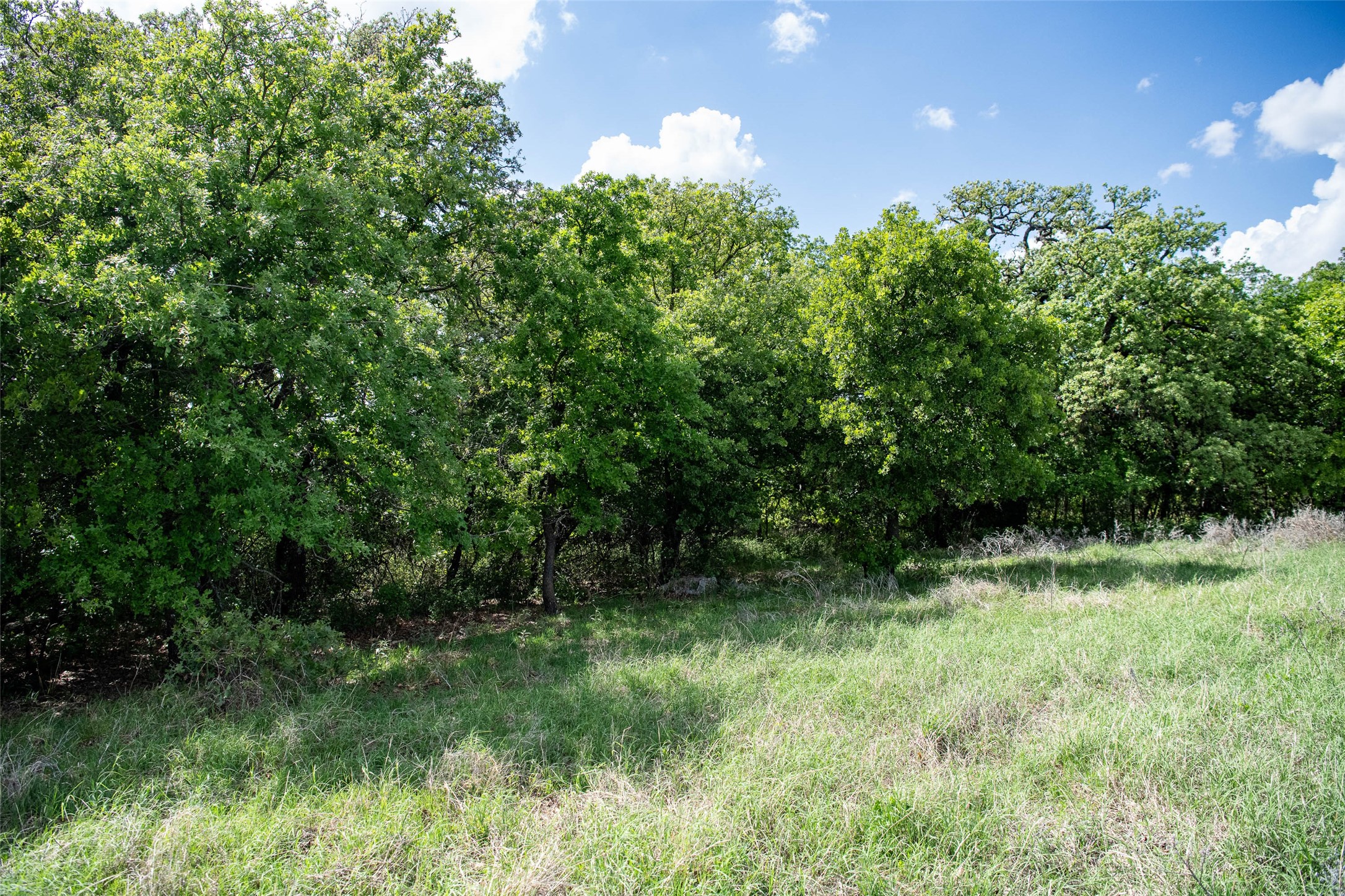 Lot 8 Red Oak Hills Road Nocona TX 76255