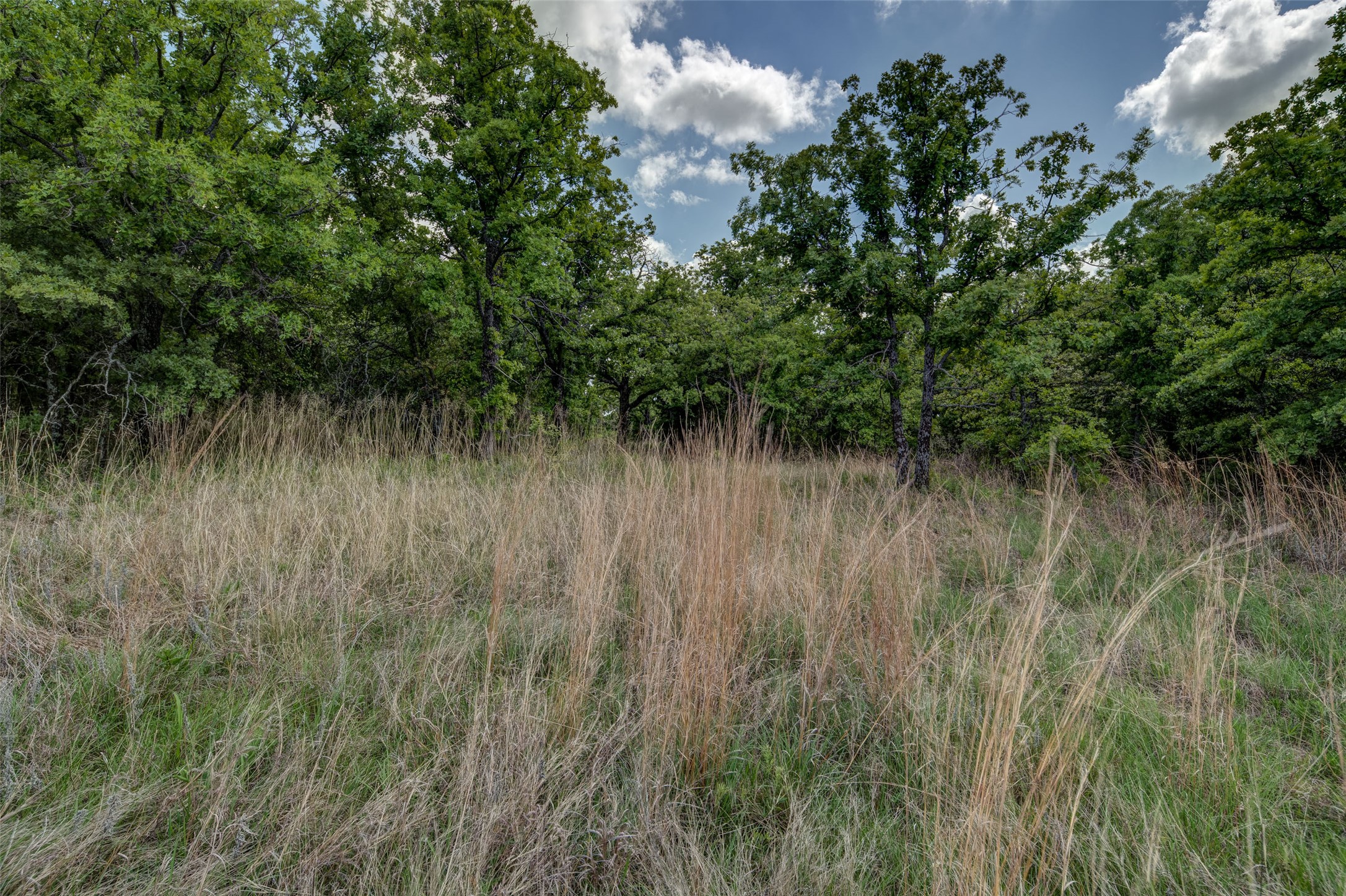 Lot 8 Red Oak Hills Road Nocona TX 76255