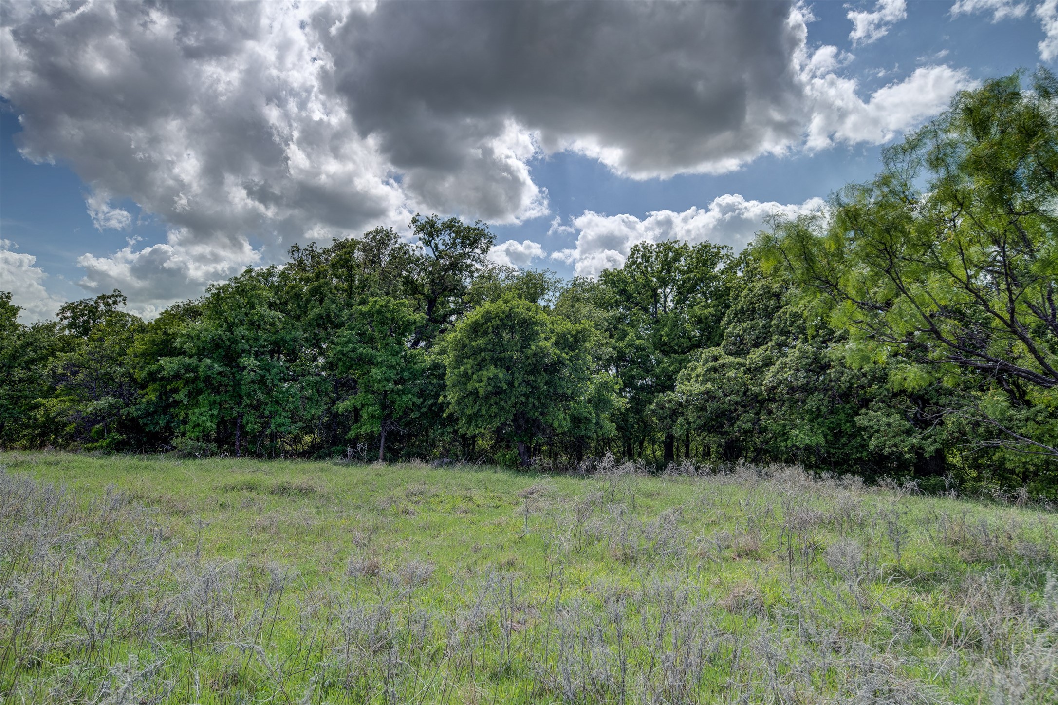 Lot 8 Red Oak Hills Road Nocona TX 76255