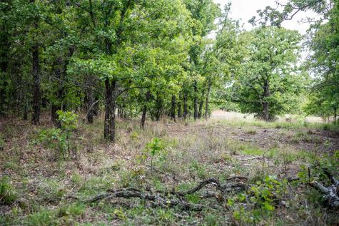 Lot 8 Red Oak Hills Road Nocona TX 76255