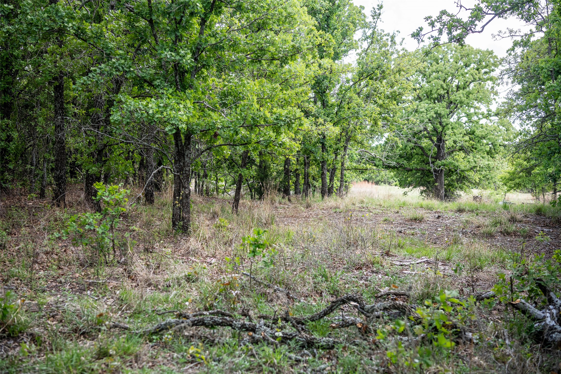 Lot 8 Red Oak Hills Road Nocona TX 76255