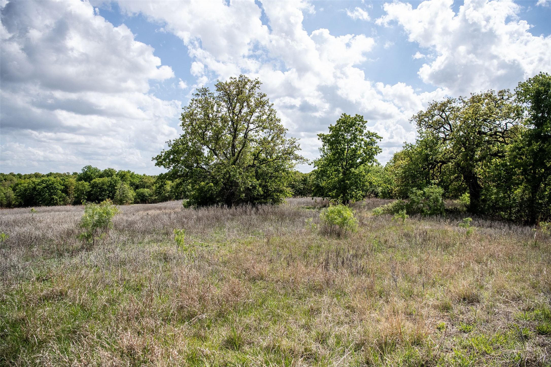 Lot 8 Red Oak Hills Road Nocona TX 76255