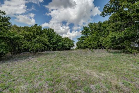 Lot 8 Red Oak Hills Road Nocona TX 76255