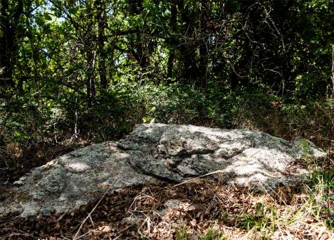 Lot 8 Red Oak Hills Road Nocona TX 76255