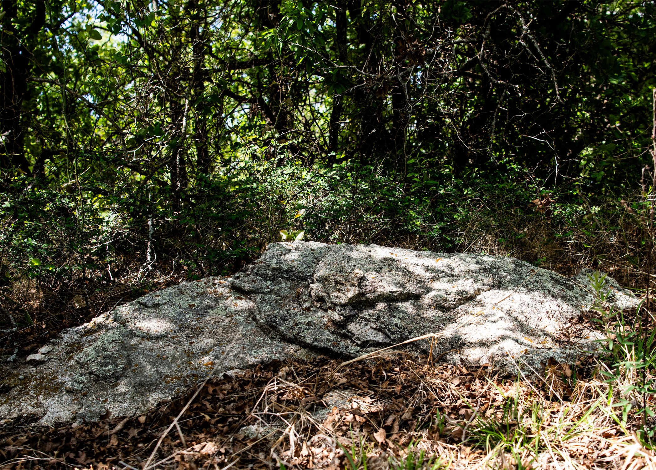 Lot 8 Red Oak Hills Road Nocona TX 76255