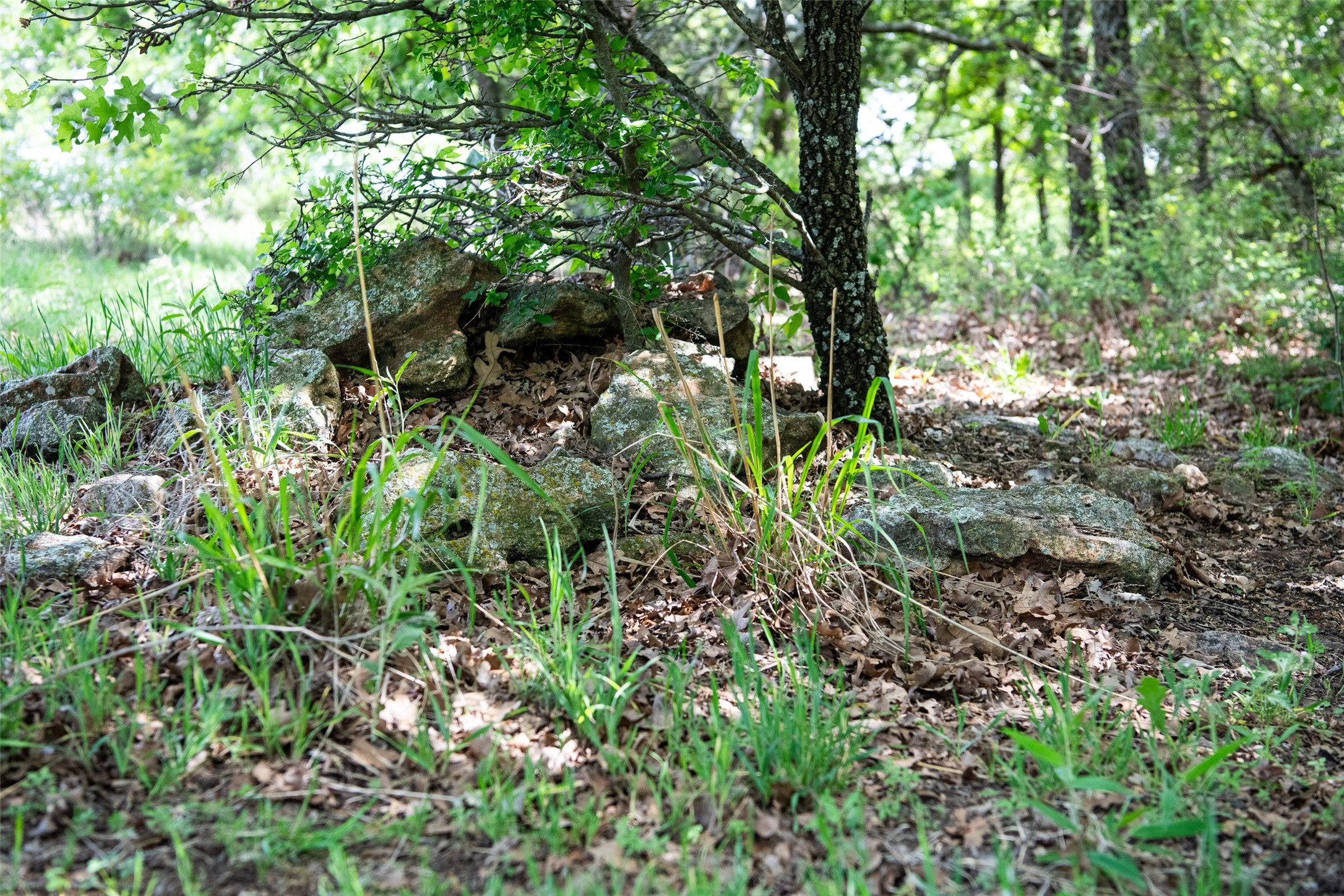 Lot 8 Red Oak Hills Road Nocona TX 76255