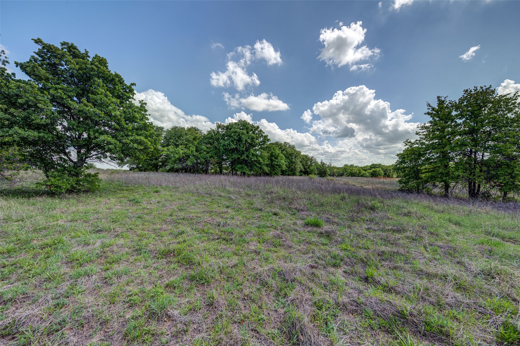 Lot 8 Red Oak Hills Road Nocona TX 76255
