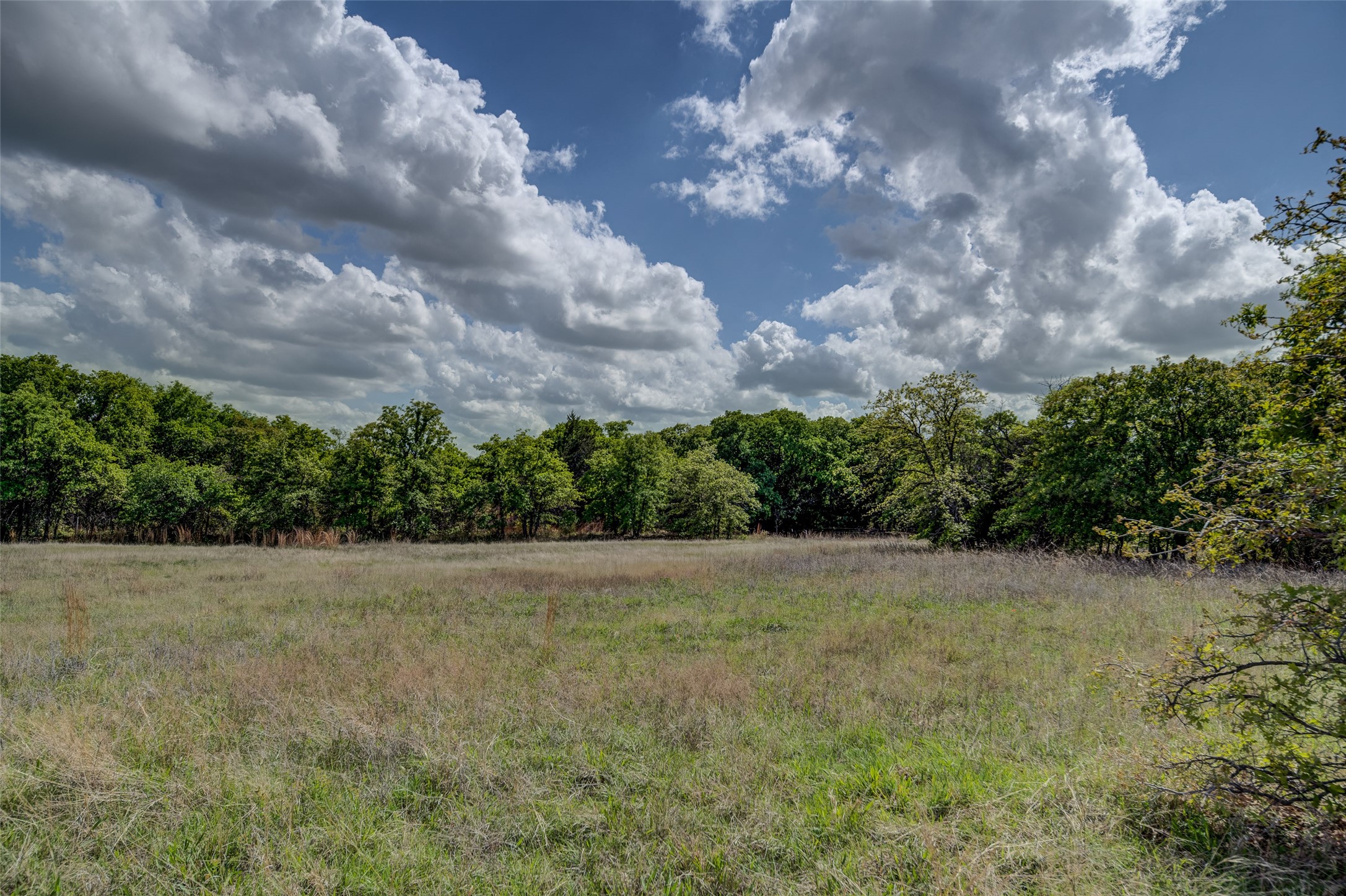 Lot 8 Red Oak Hills Road Nocona TX 76255