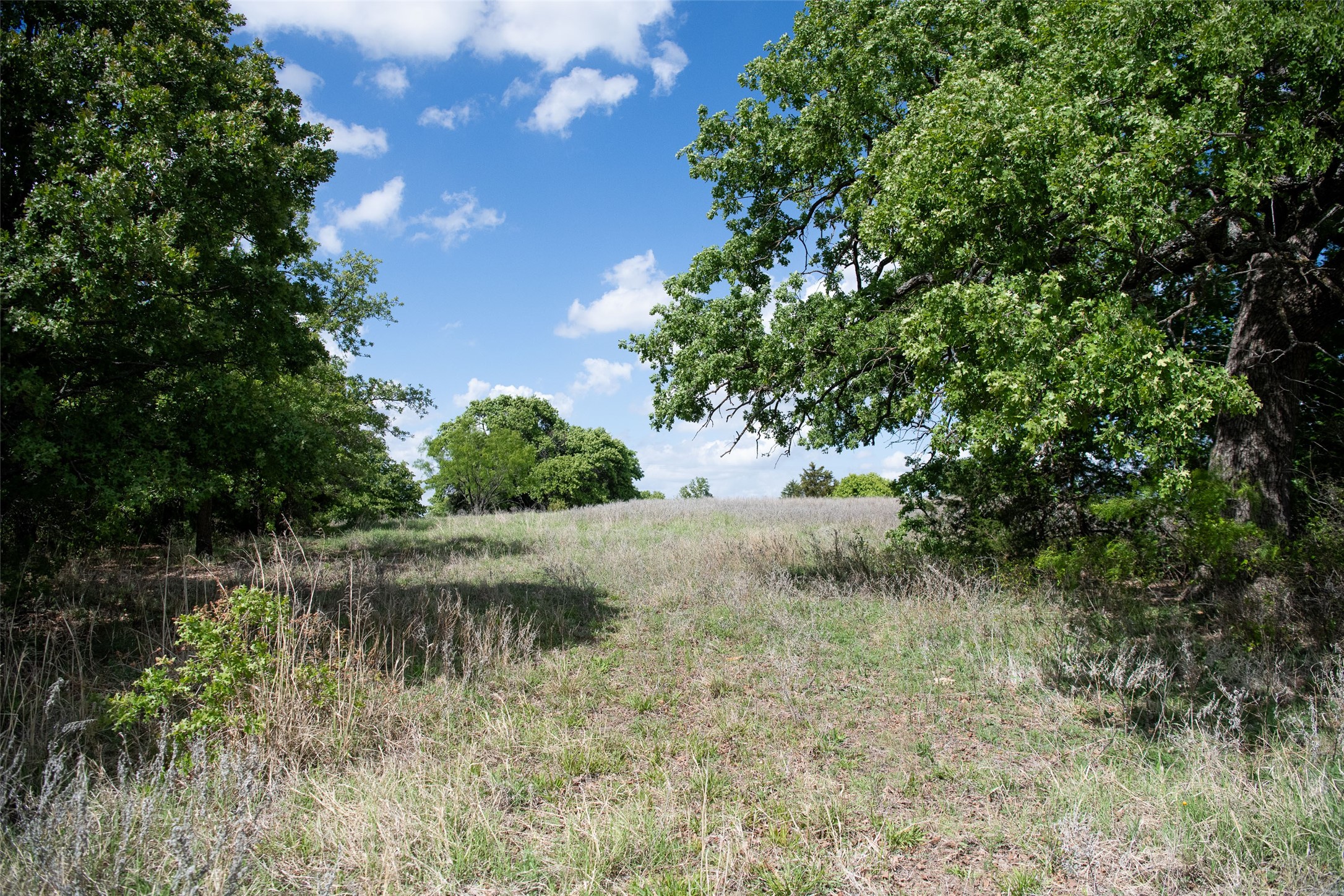 Lot 8 Red Oak Hills Road Nocona TX 76255