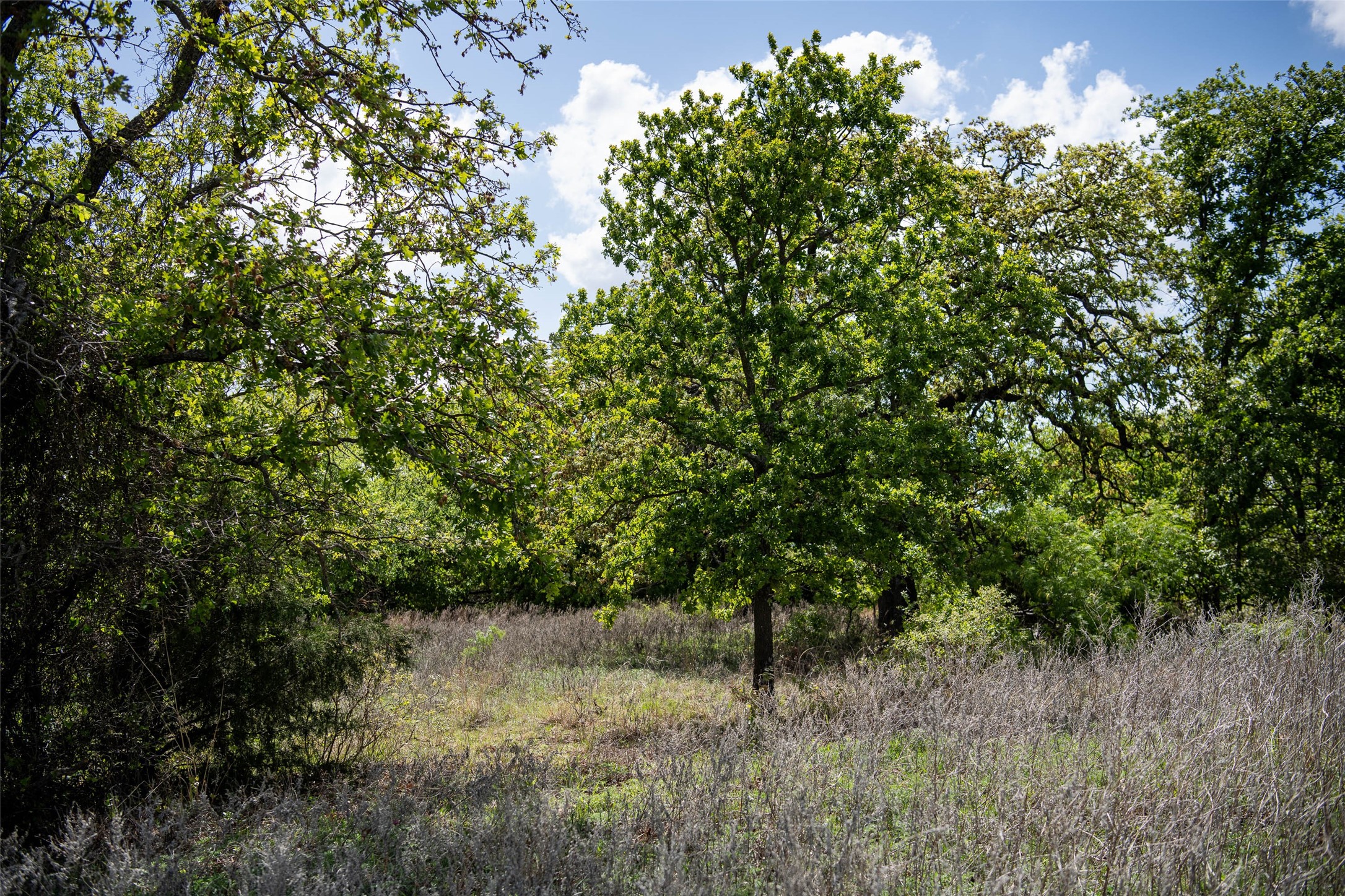 Lot 8 Red Oak Hills Road Nocona TX 76255