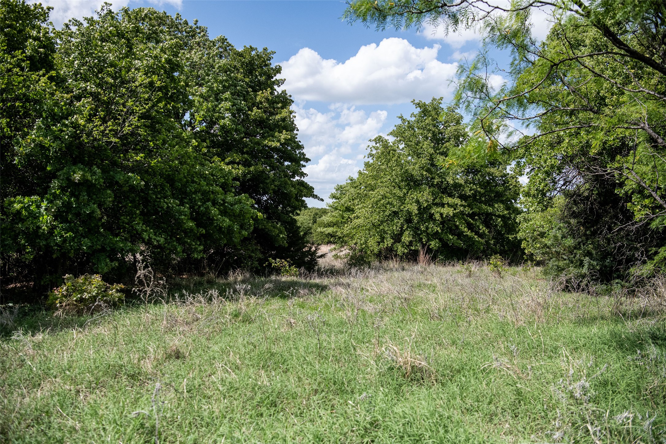 Lot 8 Red Oak Hills Road Nocona TX 76255