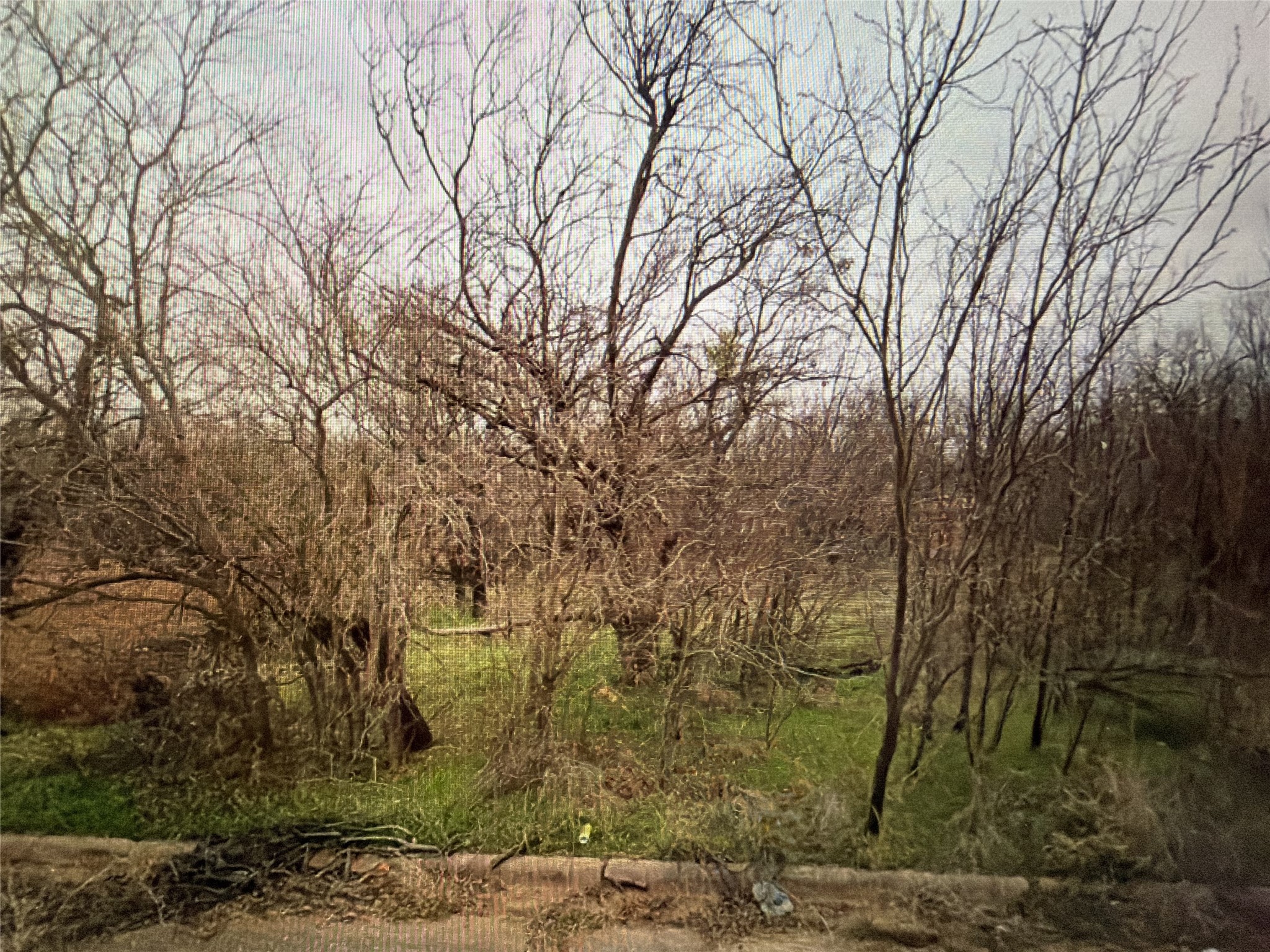 1761 Birchwood Street Abilene TX 79603