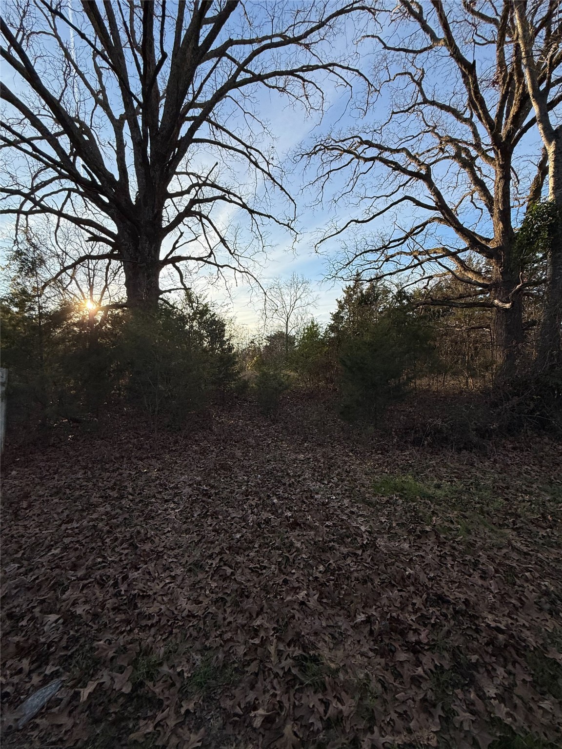 Tbd County Road 4950 Pittsburg TX 75686
