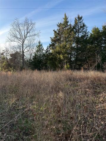 Tbd County Road 4950 Pittsburg TX 75686