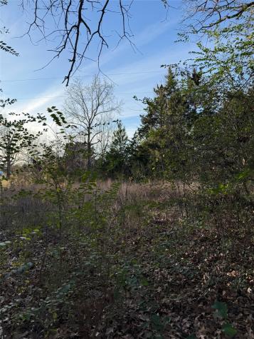 Tbd County Road 4950 Pittsburg TX 75686