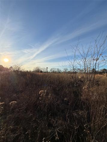 Tbd County Road 4950 Pittsburg TX 75686