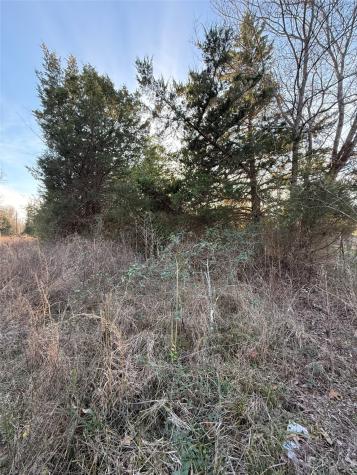 Tbd County Road 4950 Pittsburg TX 75686