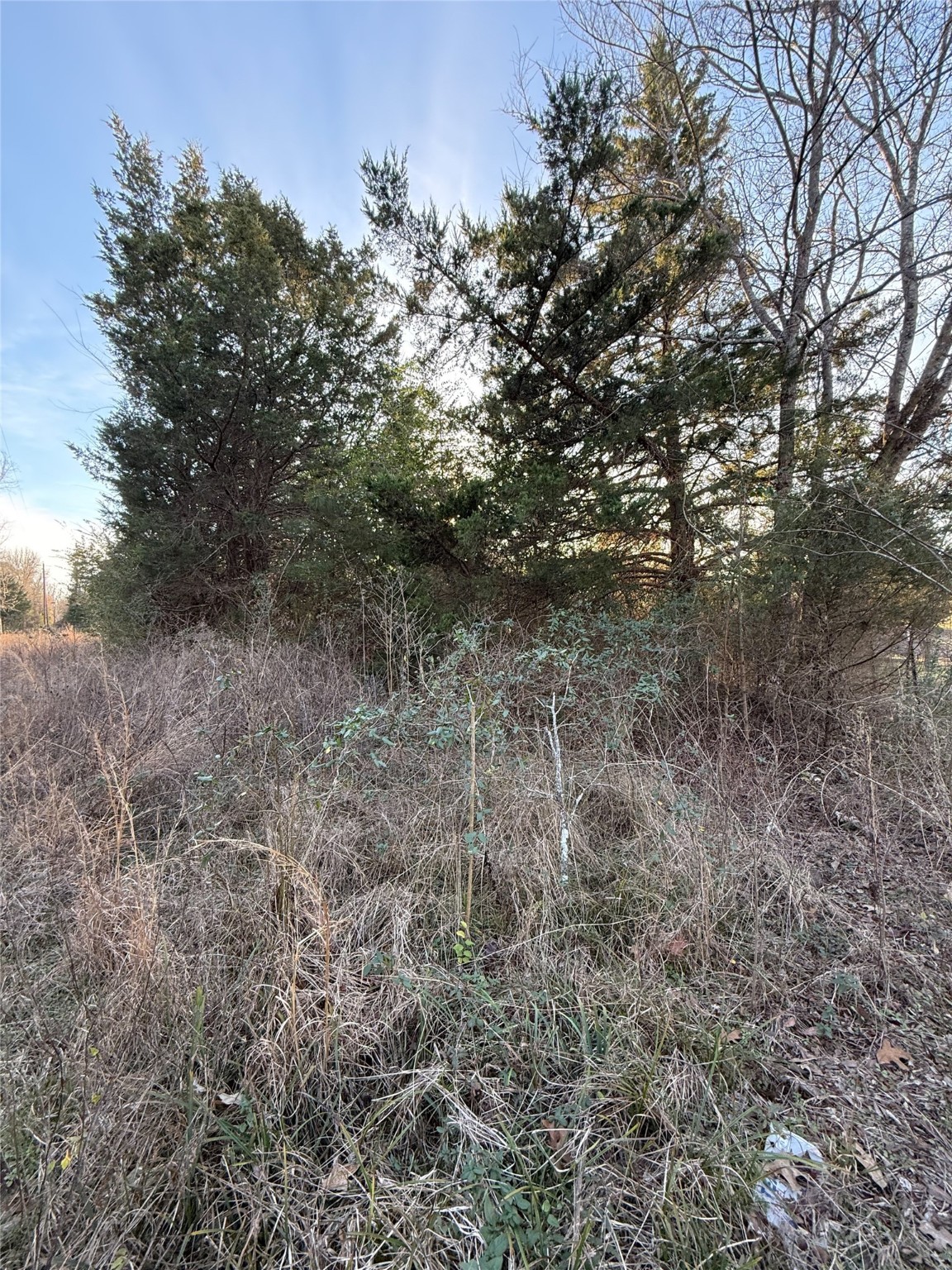 Tbd County Road 4950 Pittsburg TX 75686