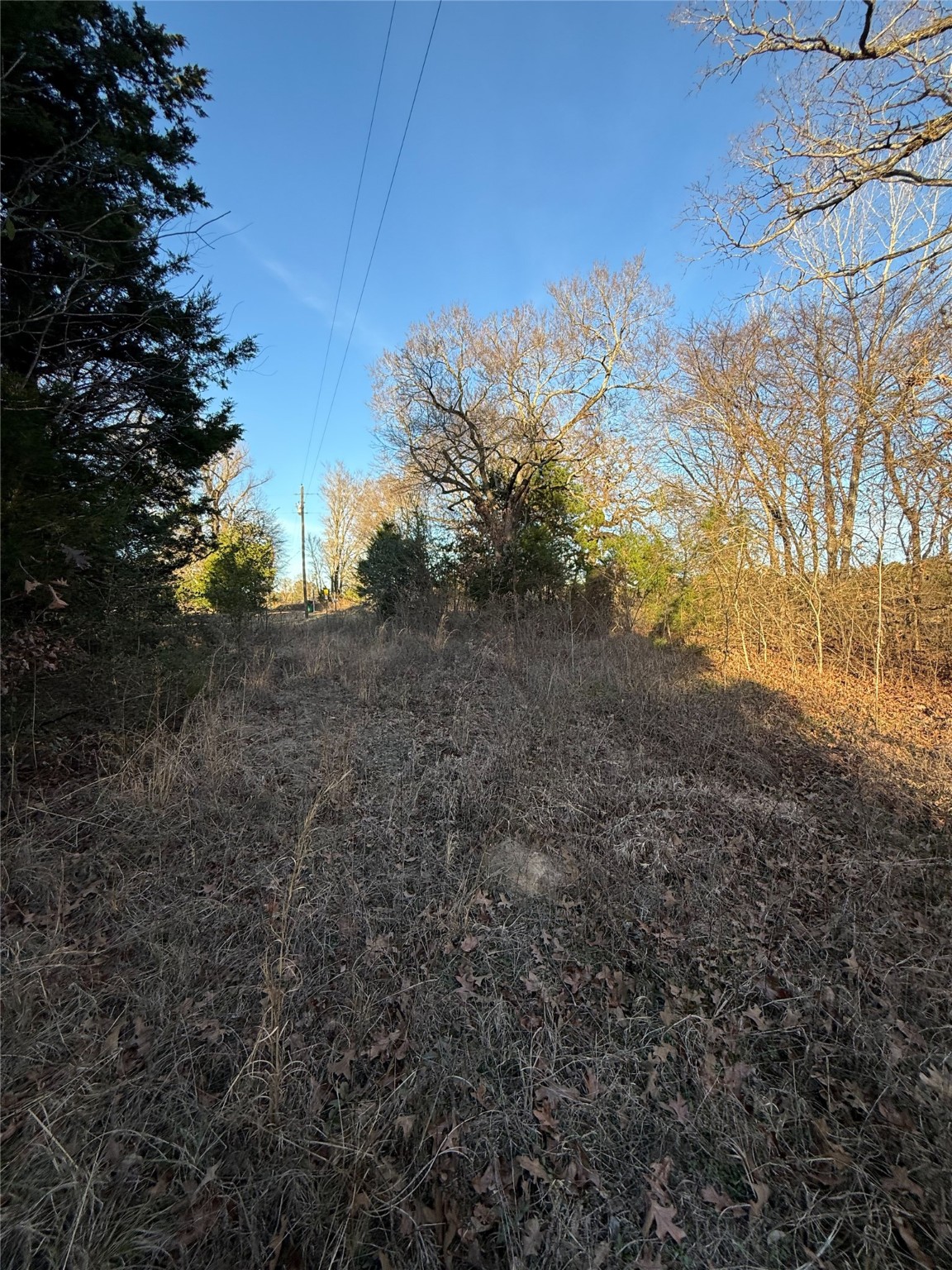 Tbd County Road 4950 Pittsburg TX 75686