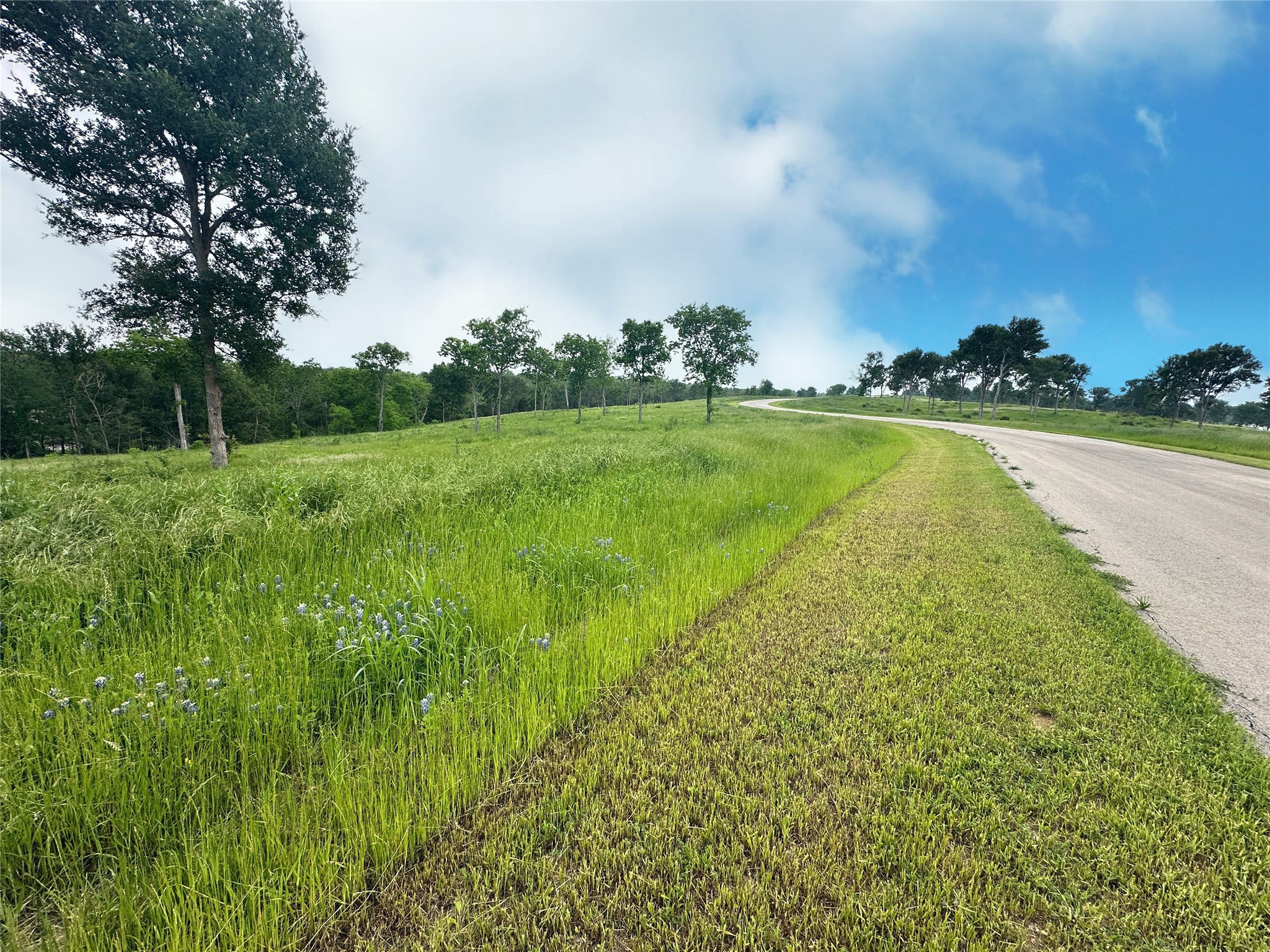 Lot 81 & Slp#17 Shoreside Drive Corsicana TX 75109