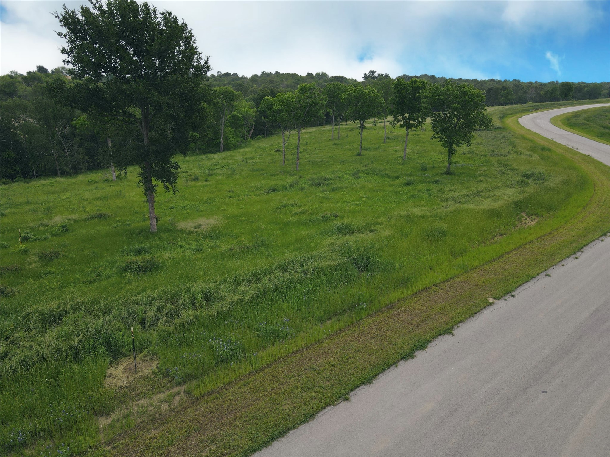 Lot 81 & Slp#17 Shoreside Drive Corsicana TX 75109