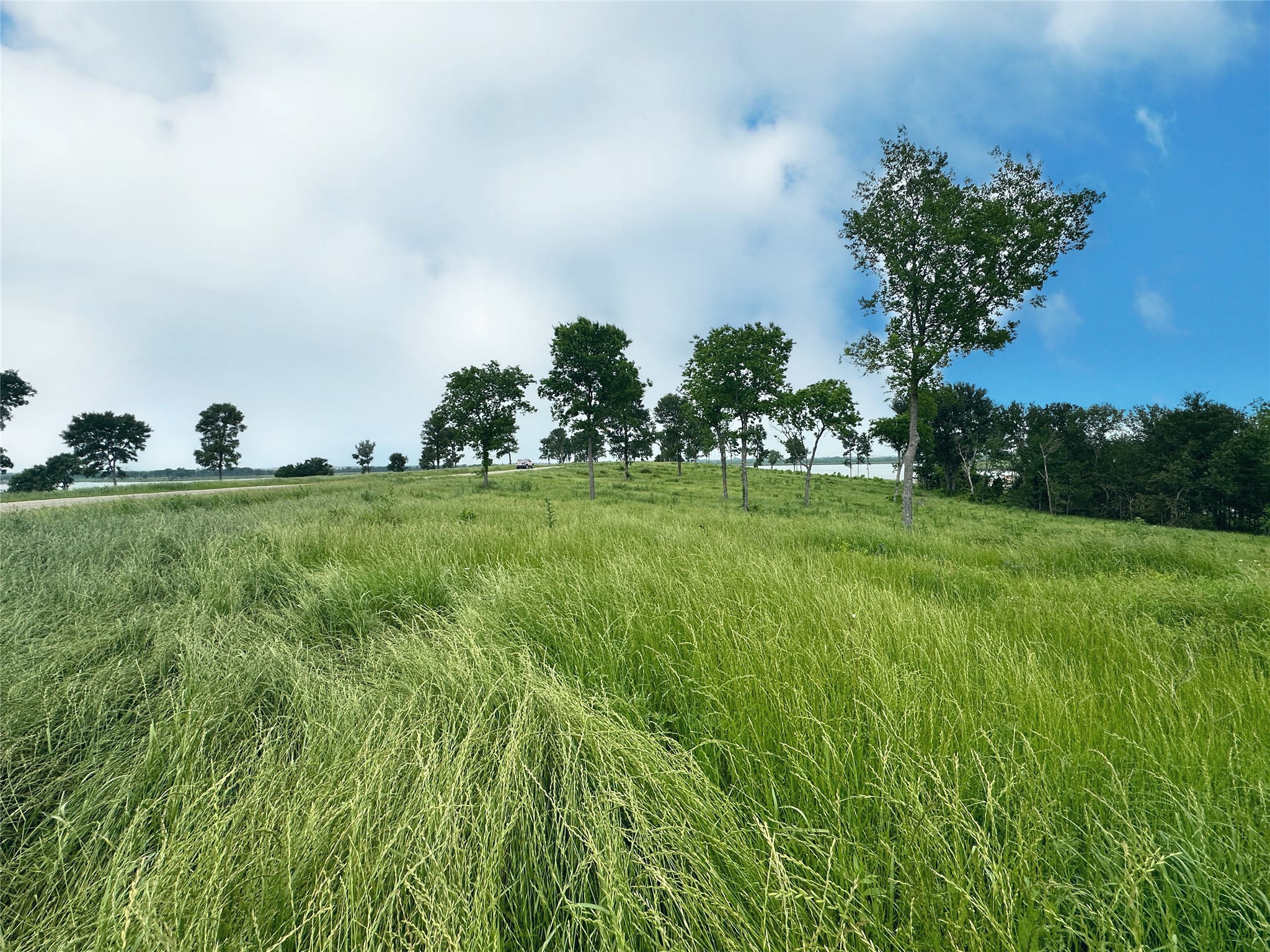 Lot 81 & Slp#17 Shoreside Drive Corsicana TX 75109