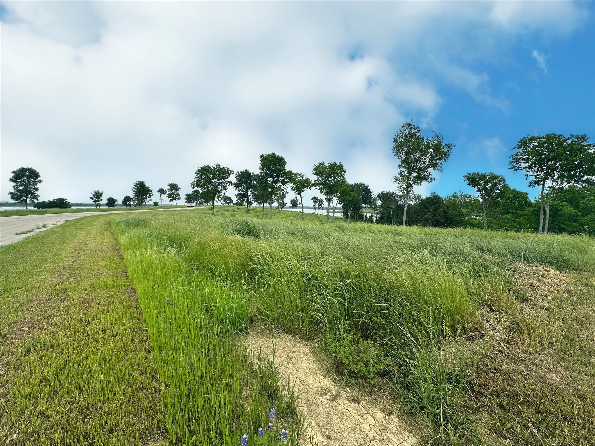 Lot 81 & Slp#17 Shoreside Drive Corsicana TX 75109