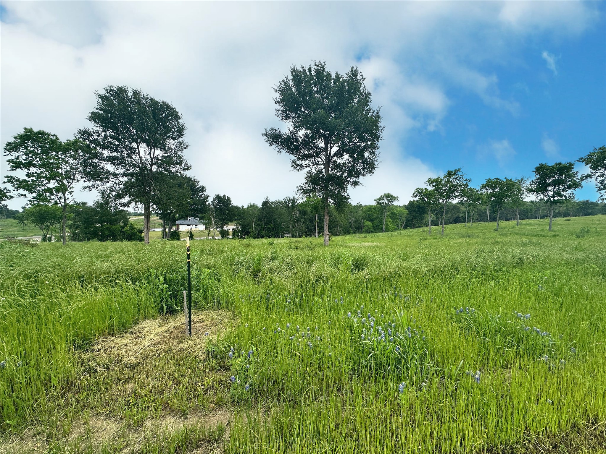 Lot 81 & Slp#17 Shoreside Drive Corsicana TX 75109