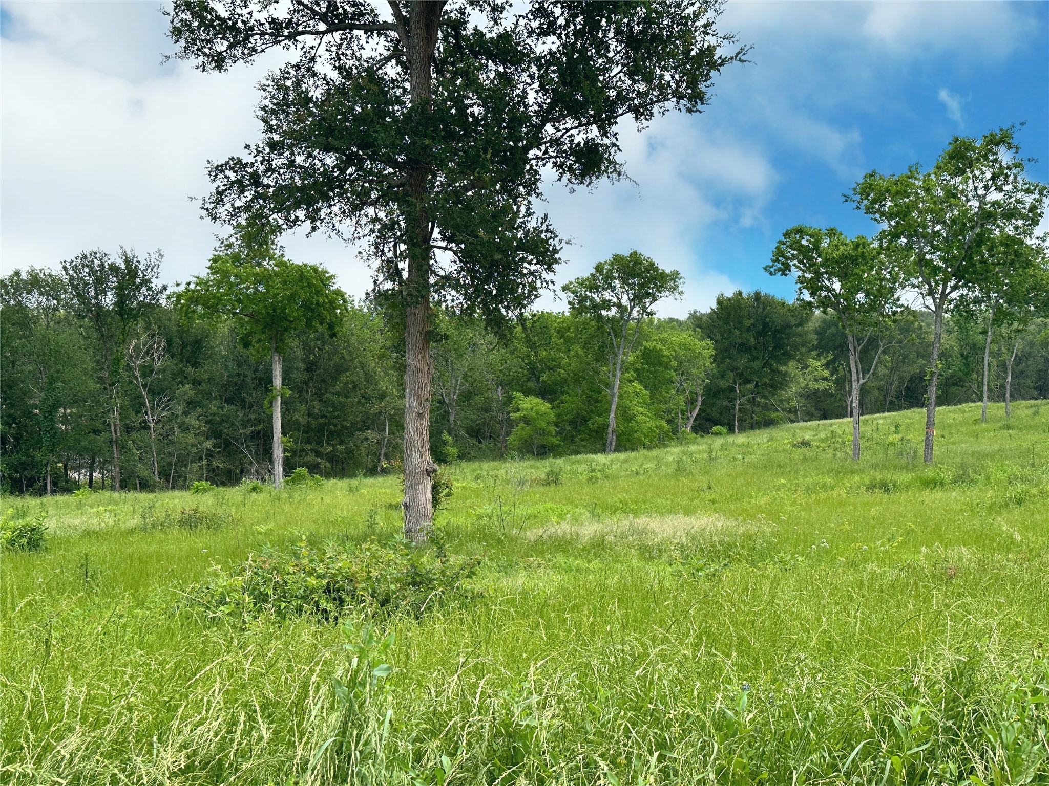 Lot 81 & Slp#17 Shoreside Drive Corsicana TX 75109
