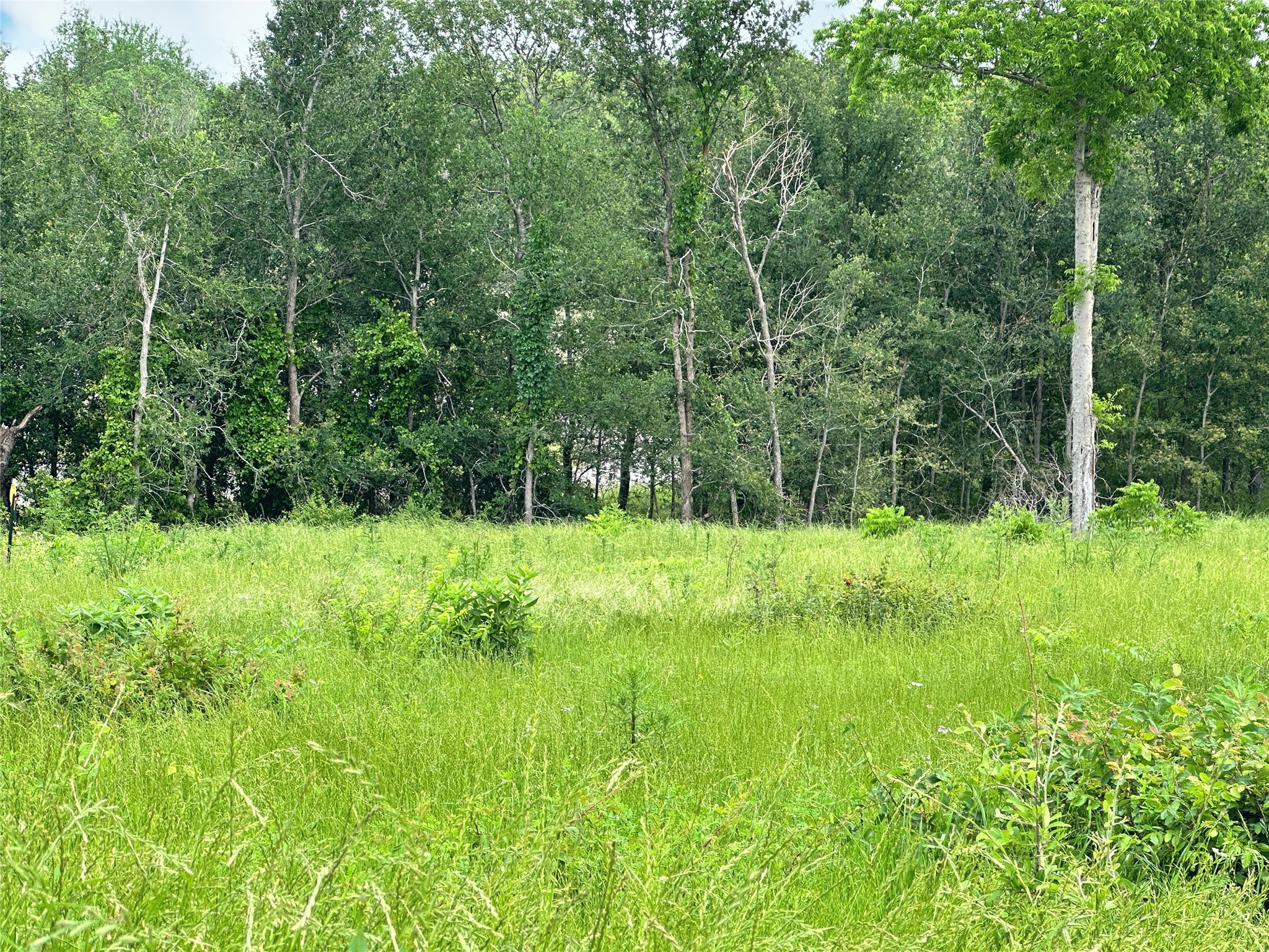 Lot 81 & Slp#17 Shoreside Drive Corsicana TX 75109