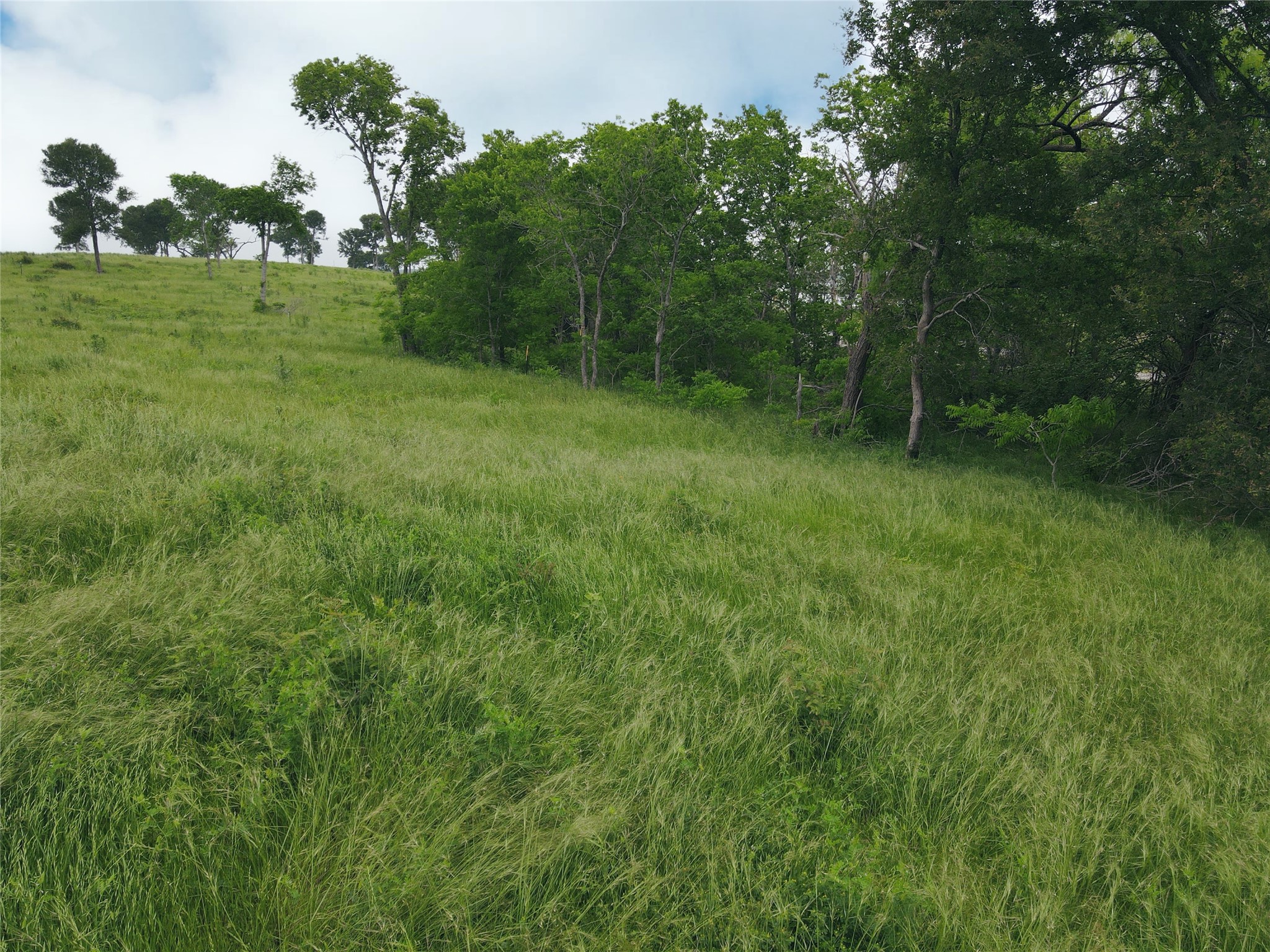 Lot 81 & Slp#17 Shoreside Drive Corsicana TX 75109