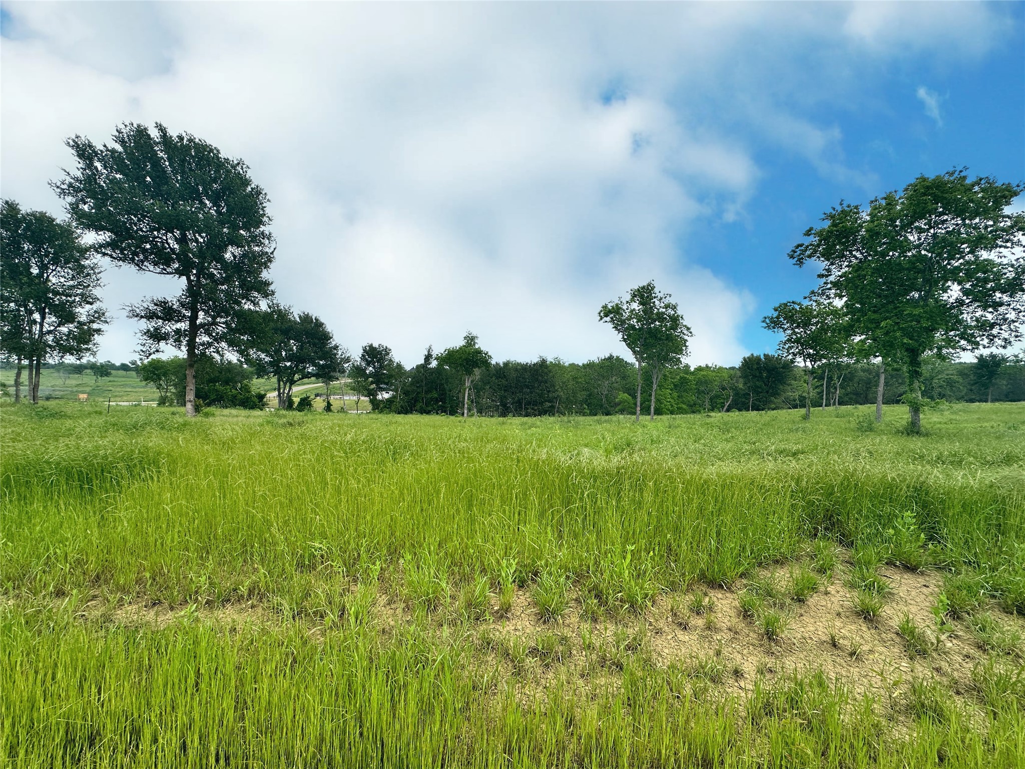 Lot 81 & Slp#17 Shoreside Drive Corsicana TX 75109