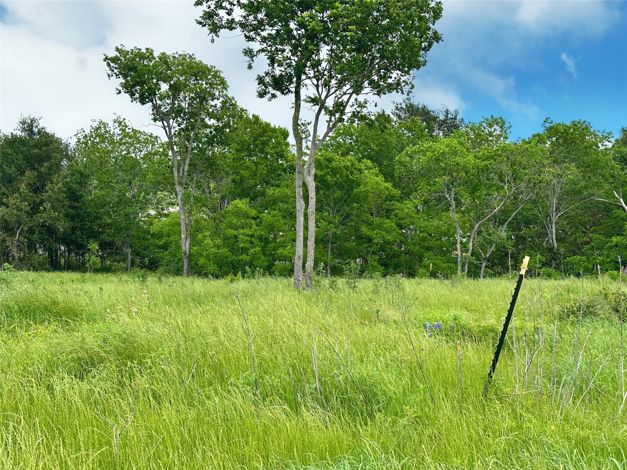 Lot 81 & Slp#17 Shoreside Drive Corsicana TX 75109